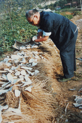 朱彥夫在勞動——曬地瓜干。（資料圖）