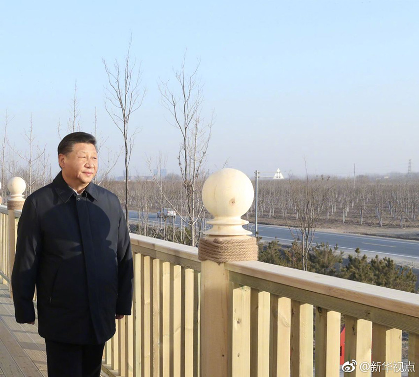 1月16日，中共中央總書記、國家主席、中央軍委主席習近平在河北雄安新區(qū)考察調研。在雄安新區(qū)“千年秀林”大清河片林一區(qū)造林區(qū)域，習近平登上秀林驛站二層平臺遠眺林區(qū)全貌。 新華社記者 鞠鵬 攝