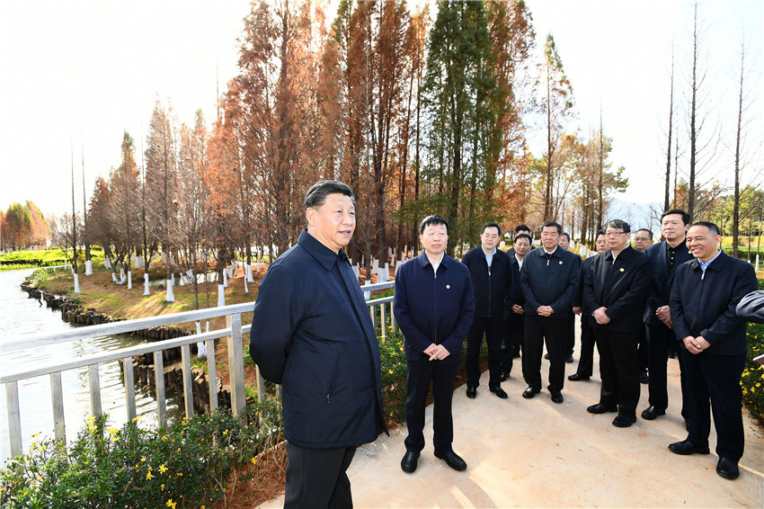 1月20日，正在雲(yún)南考察的中共中央總書記、國家主席、中央軍委主席習(xí)近平來到昆明，前往滇池星海半島生態(tài)濕地，察看滇池保護(hù)治理情況。新華社記者 謝環(huán)馳 攝