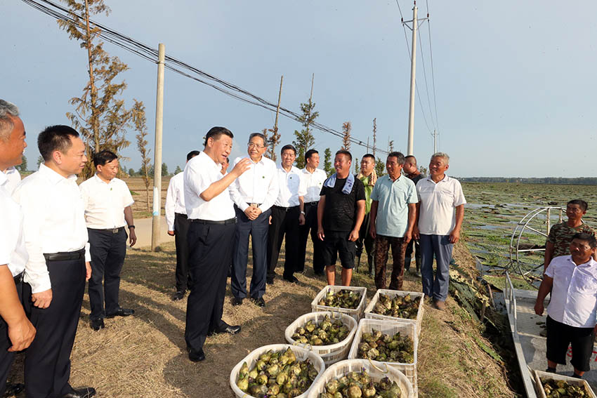 8月18日至21日，中共中央總書記、國家主席、中央軍委主席習(xí)近平在安徽省考察。這是18日下午，習(xí)近平在阜陽市阜南縣蒙窪蓄洪區(qū)，同正在採摘芡實的鄉(xiāng)親們親切交流，了解災(zāi)后生產(chǎn)恢復(fù)情況。 新華社記者 鞠鵬 攝